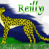 Reilly for Kifani