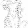 Snow Leopard Furry