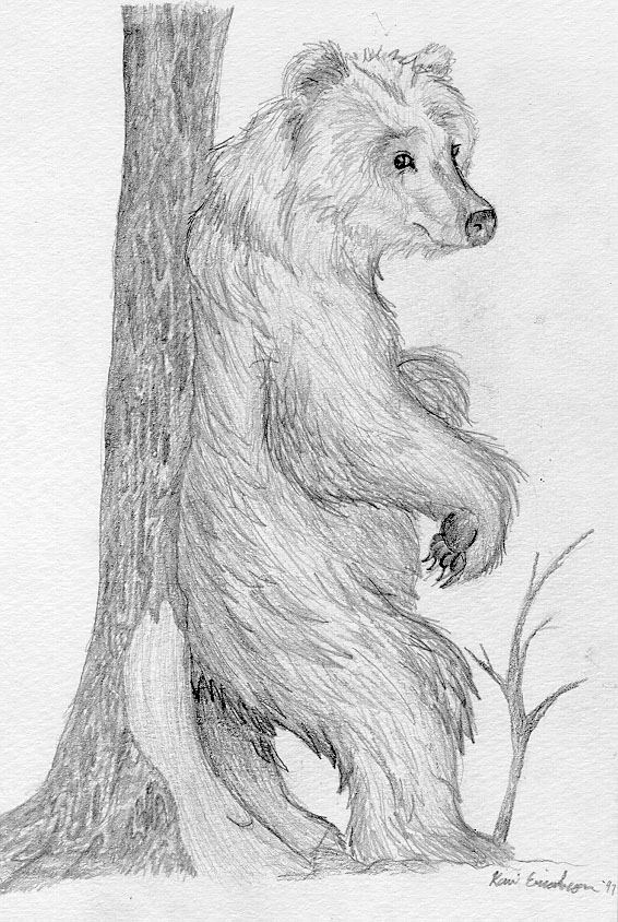 Bear and Tree