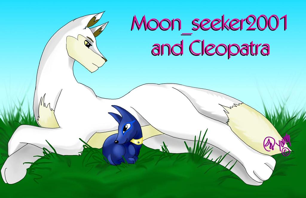 Moon_seeker2001 and petpet