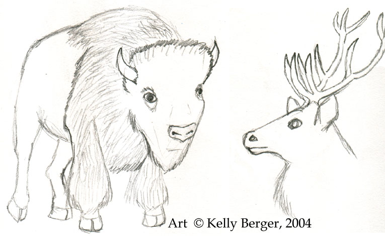 Bison and Deer
