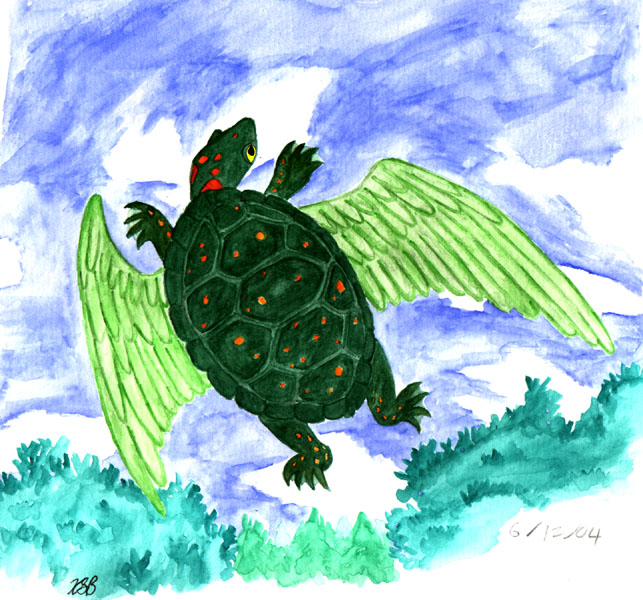 Winged Turtle