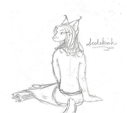 Sketch of Sedekiah..