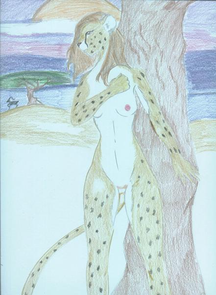 Cheetah