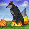 Curious Fire Lupe