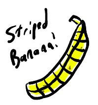 A REAL striped banana.