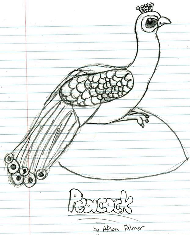 Peacock