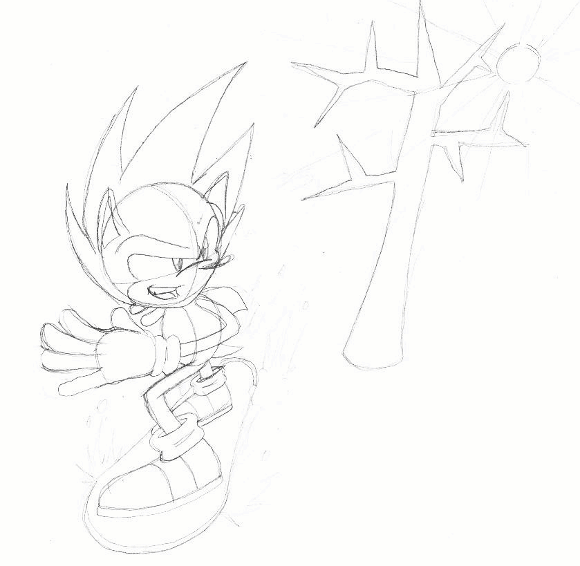 Sonic in Icecap, Sketch
