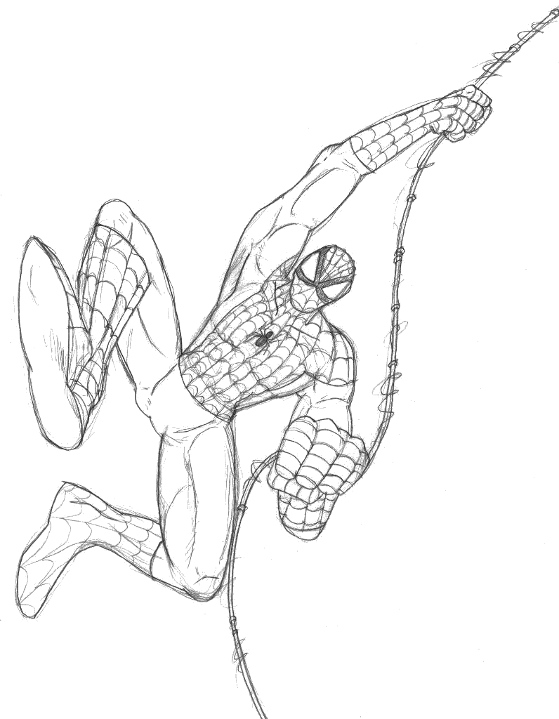 The Man of Spider!