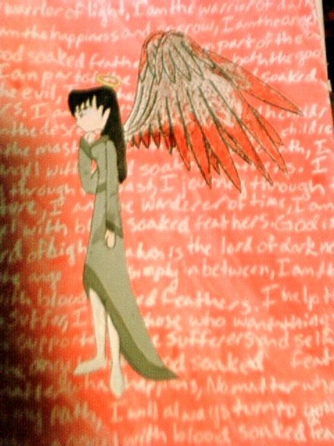 Angel With Blood Soaked Feathers