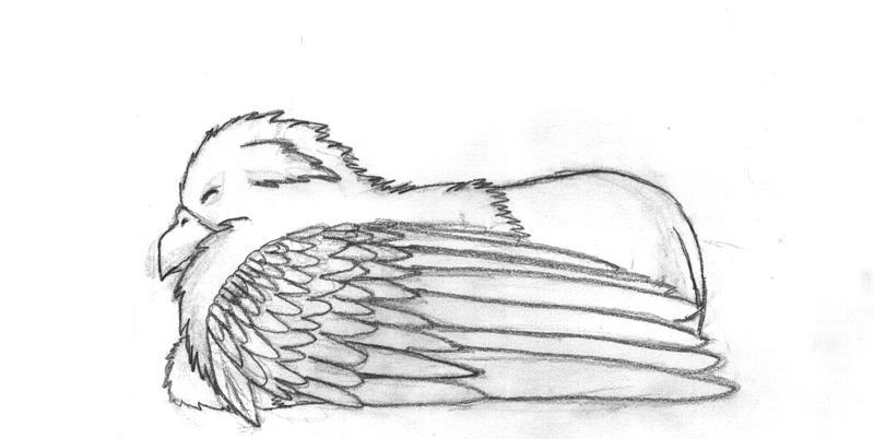 (reupload) Sleeping griffin