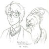 Harry Potter and Fawkes The Phoenix