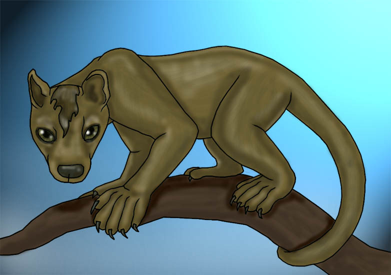 Fossa