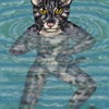 Fishing Cat Swimming