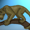 Fossa