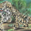 Jaguar Prowling