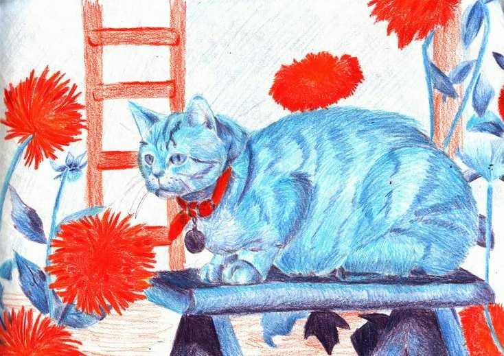 Realistic blue cat