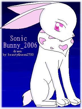 Sonic_bunny_2006