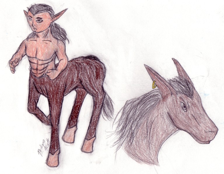 Elven Centaur - Mercé