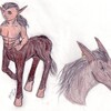 Elven Centaur - Mercé