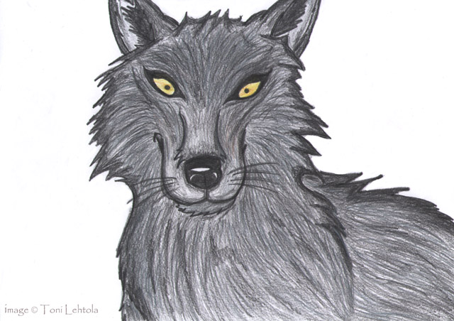Black Wolfie
