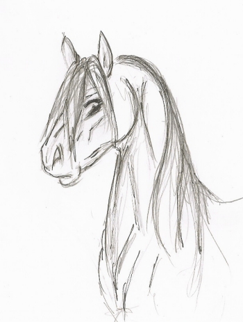 - Horse again -