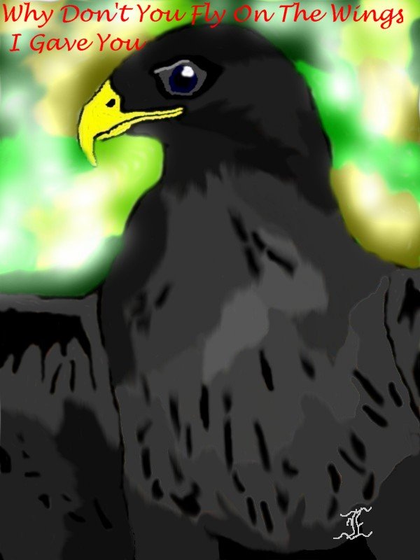 Hawk drawn with tablet #1