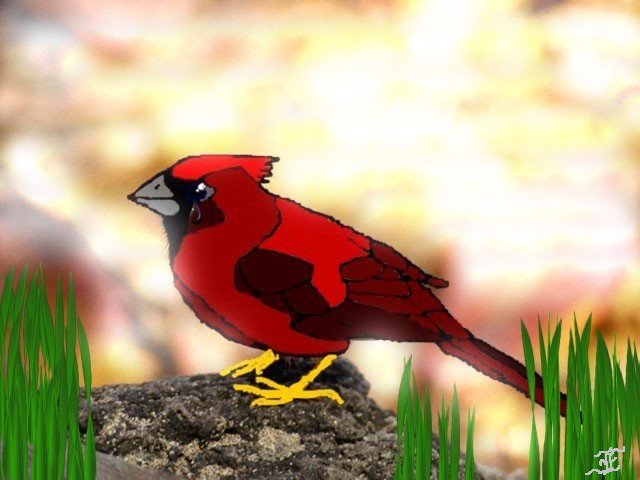 Cardinal w/ tablet