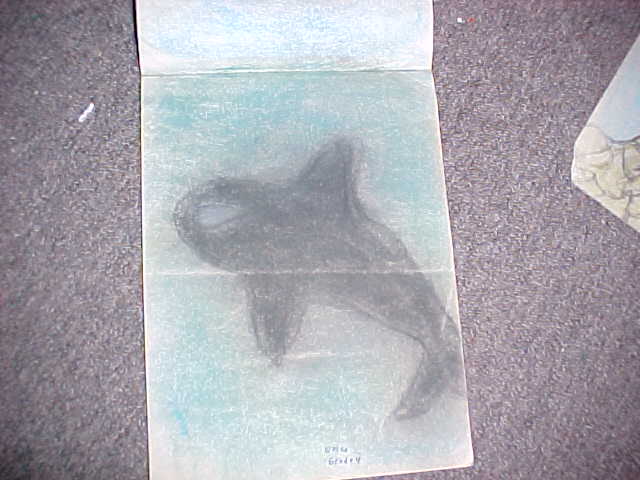 Chalk Orca