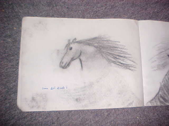 Horse Head (charcoal)