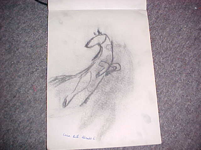 Horse Rearing(charcoal)