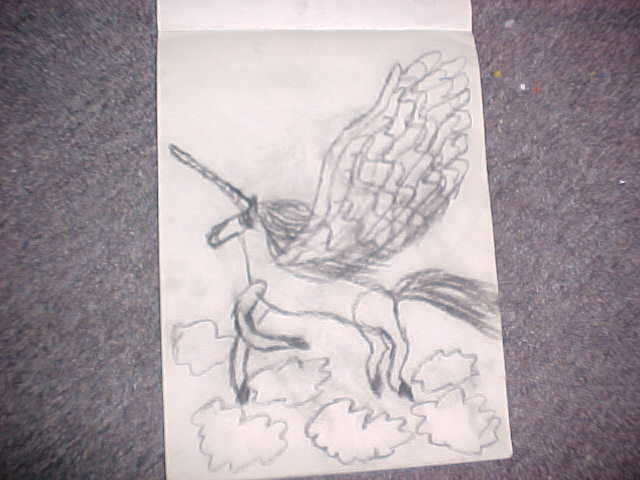 Last Winged Unicorn