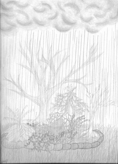 Rainy garden by a dreary soul