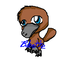 Chibi platypus