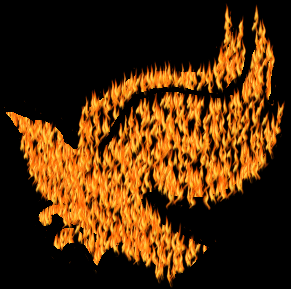 Fire Bird