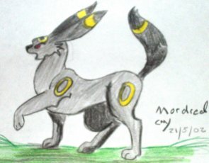 Angry Umbreon!