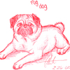 Kyoht's Pug