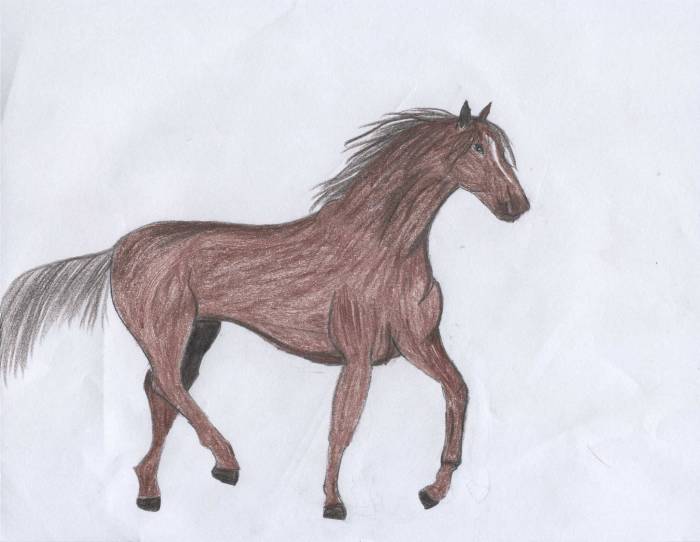 Horse 2