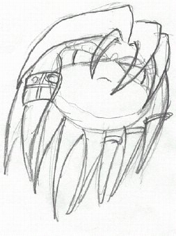 Echidna Head from bottom