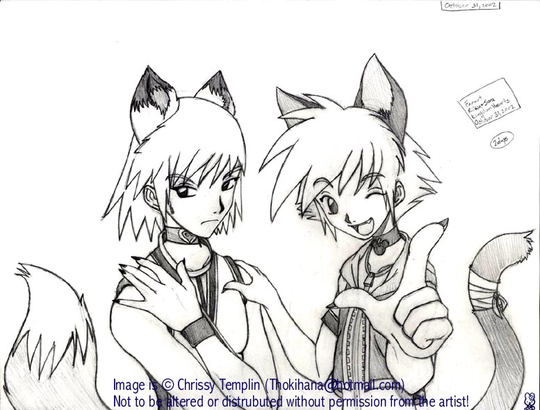 Riku & Sora Gone Furry-Like