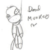 Dead Monkey