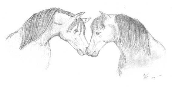 Horse Nuzzle