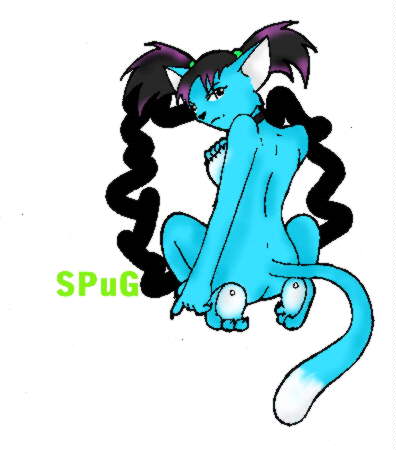 The Spug Kitty