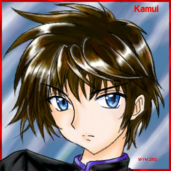 Kamui (TV series)