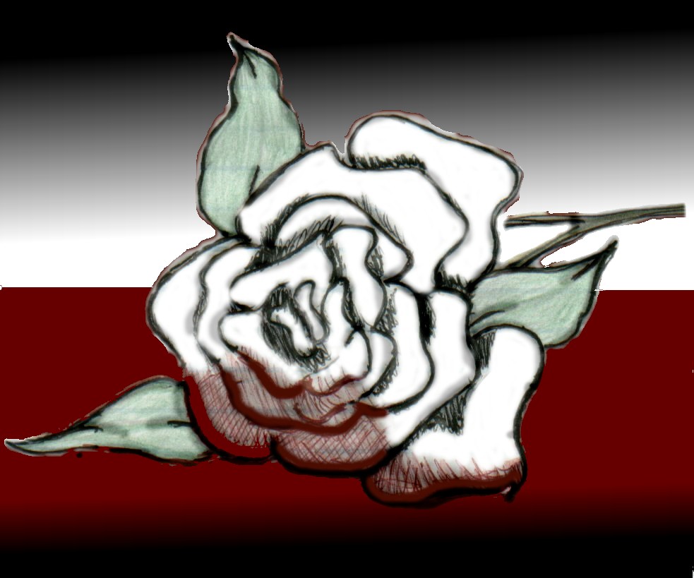 Blood Tip Rose [ revised ]