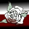 Blood Tip Rose [ revised ]