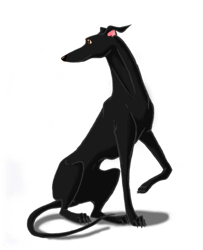 Black greyhound.
