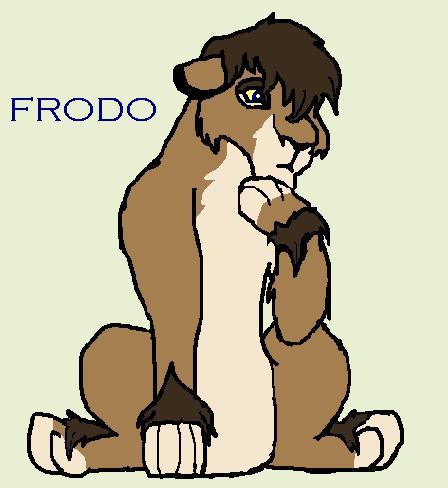 Frodo Contiplates