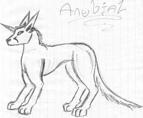 Anubial in lupis form