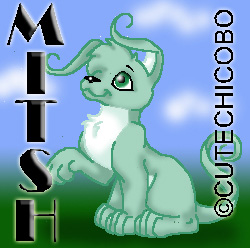 Mitsh (trade)